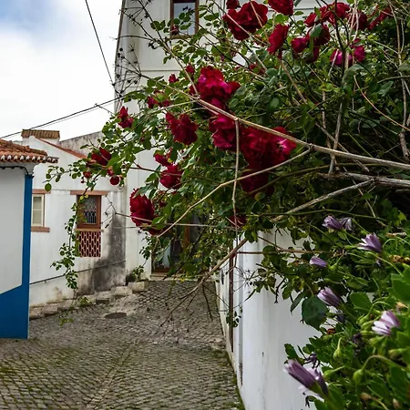 Casa Zissou Aljezur